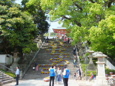 �K���ʂ���