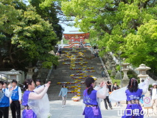 �h�{���ǂ�