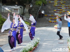 �h�{���ǂ�