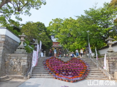 �h�{�V���{ ��Βi�ԉ�L