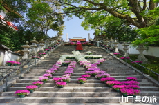 ��Βi�ԉ�L ����