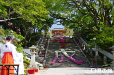 ��Βi�ԉ�L ����