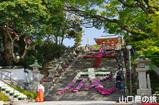 ��Βi�ԉ�L ����