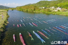 ���������̂ڂ�