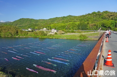 ���������̂ڂ�