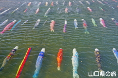 ���������̂ڂ�