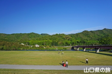 ���������̂ڂ�