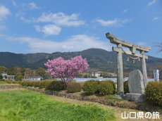 �t���_�Ђ̗z����