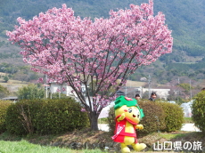 �z�����ƂԂ����[