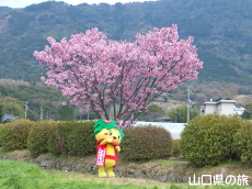 �z�����ƂԂ����[