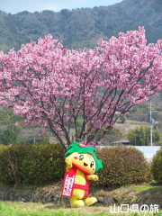 �z�����ƂԂ����[