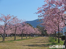 �C��������Ԃ̉��̉͒Í�