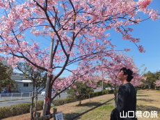 �C��������Ԃ̉��̉͒Í�