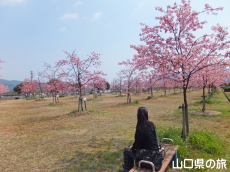 �����_�Ɖ͒Í�