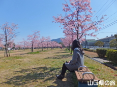 �����_�Ɖ͒Í�