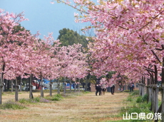 �C��������Ԃ̉��̉͒Í�