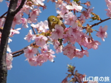 �͒Í��ƃ��W��