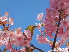 �͒Í��ƃ��W��