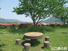 �����[�h