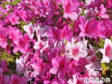 �����[�h