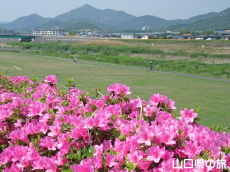 �����[�h