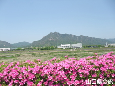 �����[�h