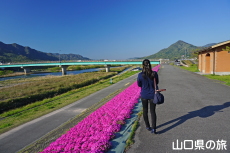 ���g��͐�̎ō�