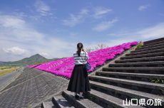 ���g��͐�̎ō�