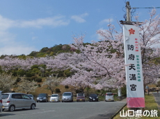 �V�_�R�����̍�