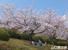 �V�_�R�����̍�