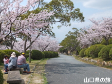 �V�_�R�����̍�