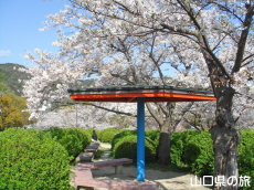 �V�_�R�����̍�