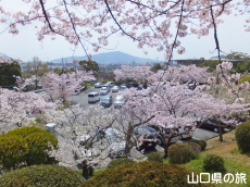 �V�_�R�����̍�