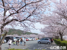 �h�{�V���{���ԏ�̍�