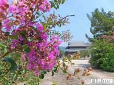 ���h�������̕S���g