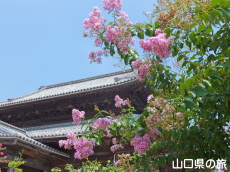 ���h�������̕S���g