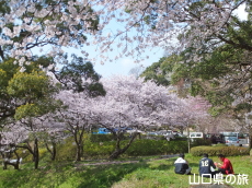 �K�R�����̍�