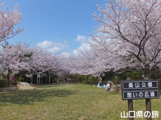 �K�R�����̍�