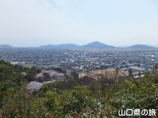 �K�R�����R������̒���