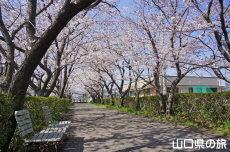 �O�c�K��ԉ��̍�����