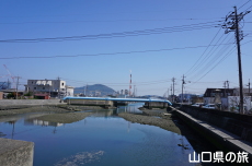 �����ؓ������猩�����i