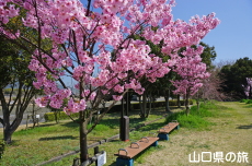 �C��������Ԃ̉��̗z����