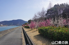 �C��������Ԃ̉��̔~