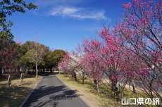 �C��������Ԃ̉��̔~