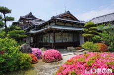 毛利氏庭園のサツキ