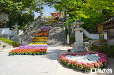 ���̉˂���