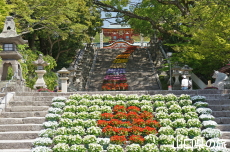 ���̉˂���