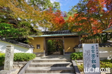 �F�����̍g�t