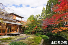 �F�����̍g�t