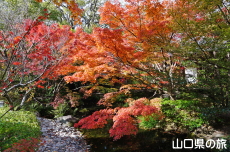 �F�����̍g�t